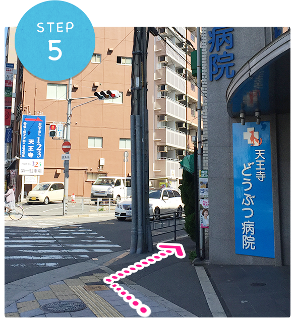 STEP05